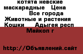 котята невские маскарадные › Цена ­ 18 000 - Все города Животные и растения » Кошки   . Адыгея респ.,Майкоп г.